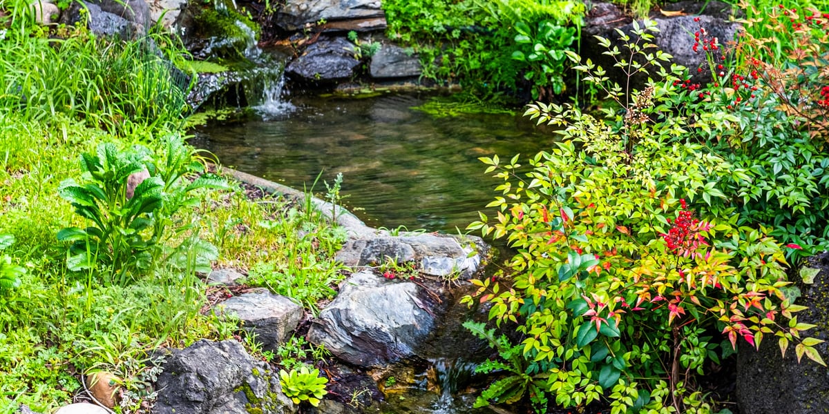 Vom Landschaftsgärtner angelegter naturnaher Gartenteich mit Wasserfall, Findlingen und dichter Bepflanzung